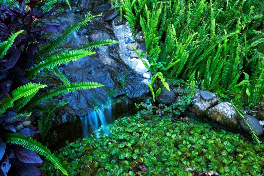 Pine Borough Inn Kodaikanal Zewnętrze zdjęcie